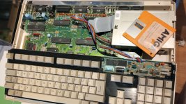 AMIGA2.jpg
