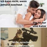 KameraKatze.jpg