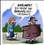 Shrimps.jpg