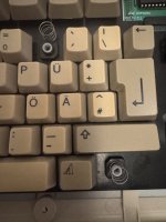 IMG_2026.jpeg