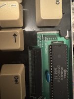 IMG_2029.jpeg
