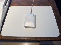 IMG_2105.JPEG