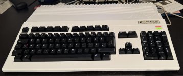 IMG_2217.jpeg